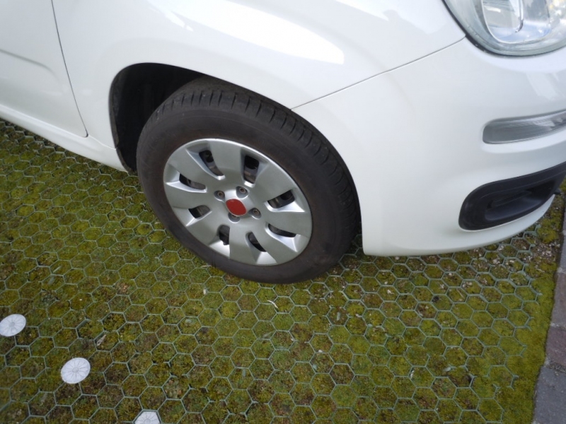 FIAT PANDA 1.2 Immagine 2