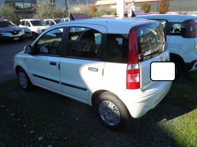 FIAT PANDA 1.1 ACTUAL Immagine 5