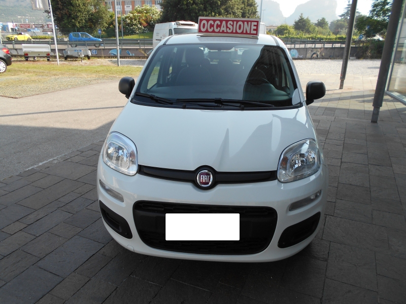 FIAT PANDA 1.2 Immagine 2