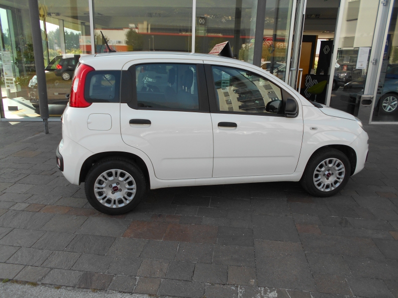 FIAT PANDA 1.2 Immagine 4