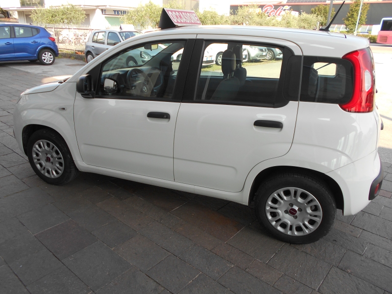 FIAT PANDA 1.2 Immagine 10
