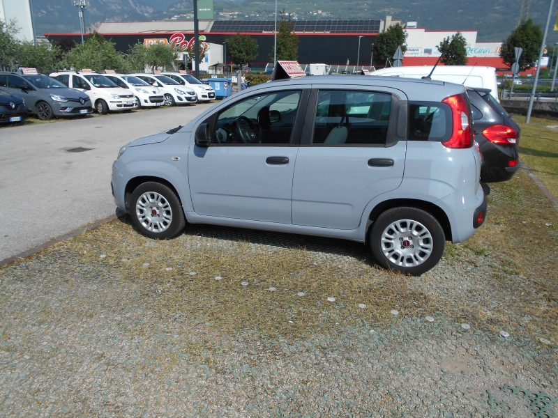 FIAT PANDA 1.2 Immagine 2