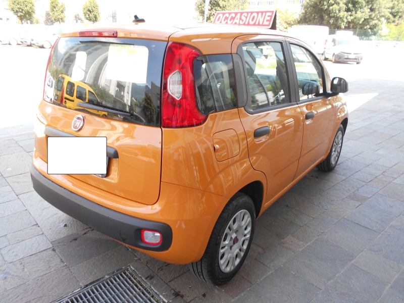 FIAT PANDA 1.2 Immagine 4