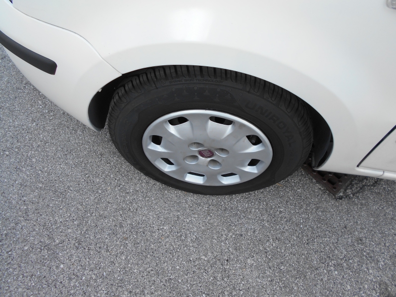 FIAT PANDA 1.2 Immagine 6