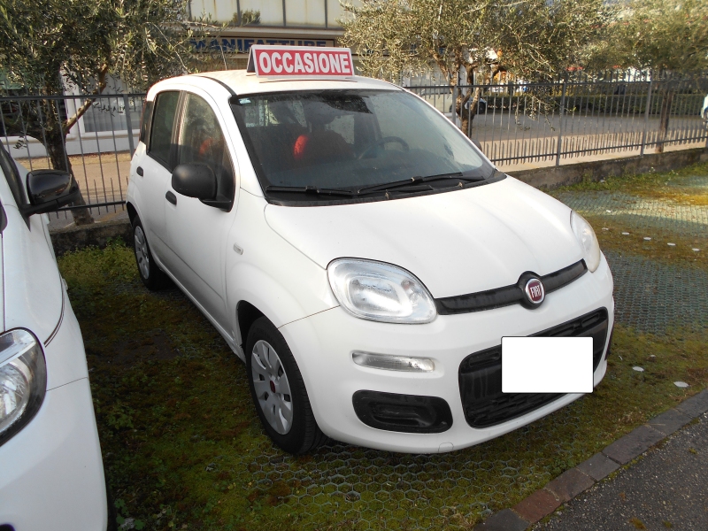FIAT PANDA 1.2 Immagine 4
