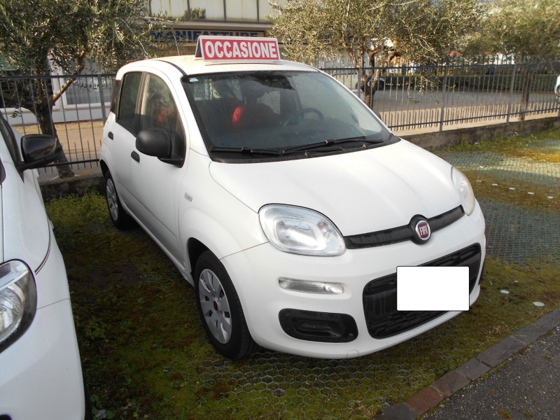 FIAT PANDA 1.2 Immagine 2