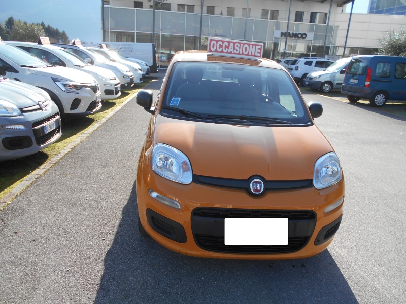 FIAT PANDA 1.0 IBRIDO Immagine 3