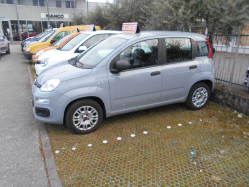 FIAT PANDA 1.2 Immagine 1