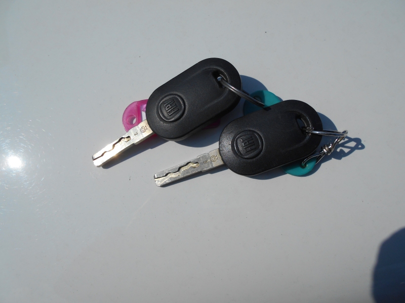 FIAT PANDA 1.2 Immagine 14