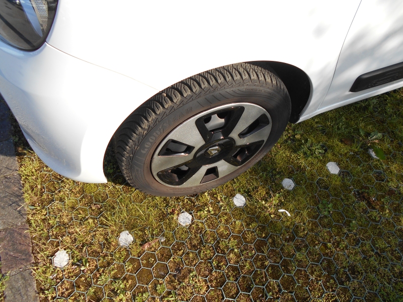 RENAULT TWINGO 1.0 SCE Immagine 6