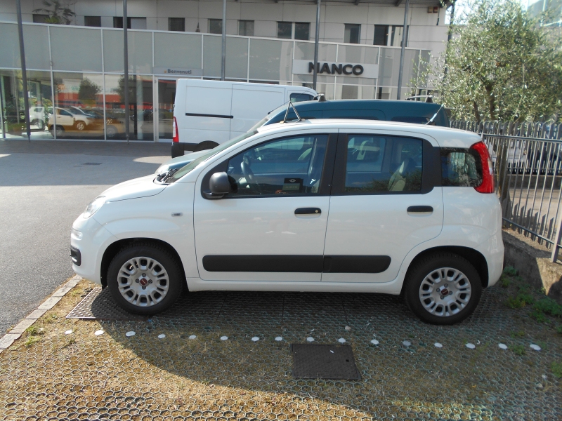 FIAT PANDA 1.2 Immagine 1