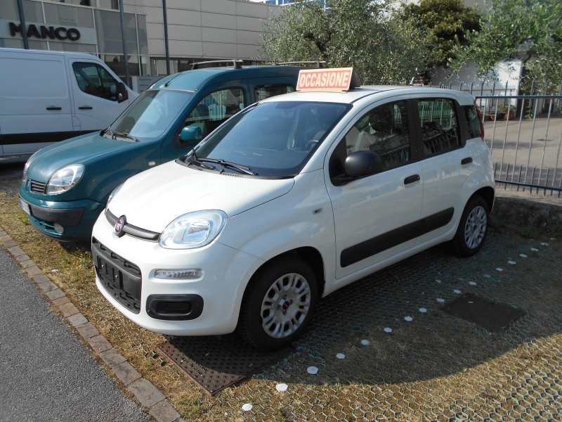 FIAT PANDA 1.2 Immagine 2